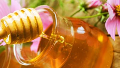 Honey flowers sweet 4k wallpaper