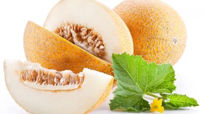 Melon cut ripe leaves 4k wallpaper