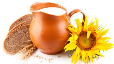 Milk bread sunflower pitcher ears white background 4k wallpaper
