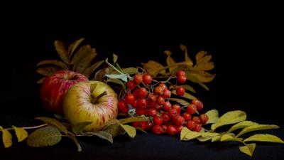 Mountain ash apple still life leave 4k wallpaper