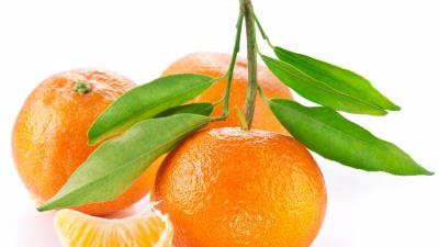 Orange fruit white background leaf 4k wallpaper