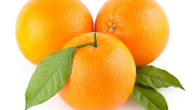 Oranges three leaves white background 4k wallpaper