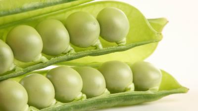 Peas cut white background bean 4k wallpaper