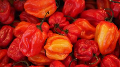 Pepper chili vegetables ripe 4k wallpaper