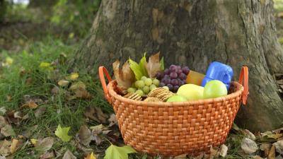 Picnic basket fruit food forest 4k wallpaper
