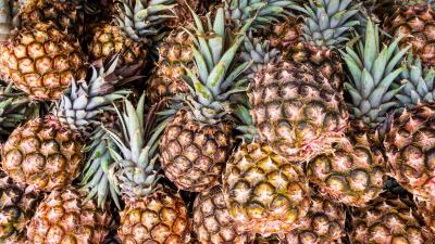Pineapple fruit ripe 4k wallpaper