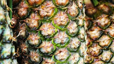 Pineapple fruit surface 4k wallpaper