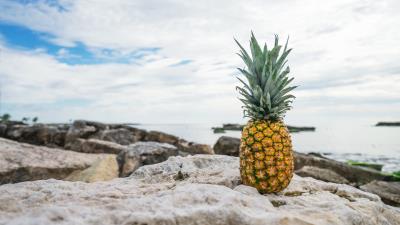 Pineapple rocks beach 4k wallpaper
