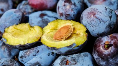 Plum fruits ripe 4k wallpaper