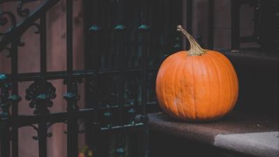 Pumpkin autumn harvest 4k wallpaper