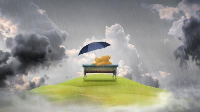 Bench rain teddy bear 4k wallpaper