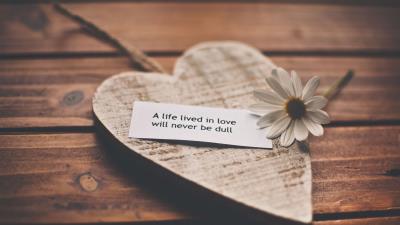 Feelings love romance life recognition speech daisy hear 4k wallpaper