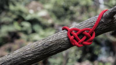 Heart rope spelled tree 4k wallpaper