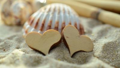 Heart sand shell 4k wallpaper