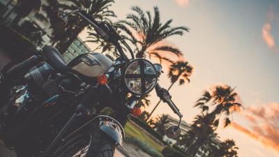 Motorcycle bike palm tree 4k wallpaper