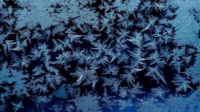 Frost ice macro 4k wallpaper