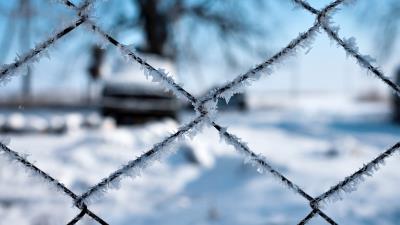 Frost mesh fence 4k wallpaper