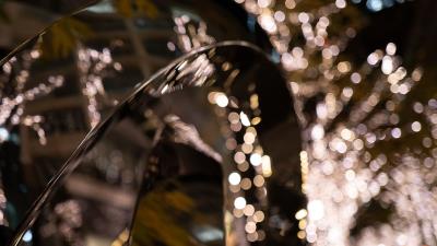 Glare circles bokeh 4k wallpaper