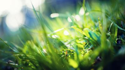 Grass glare blurred light colo 4k wallpaper
