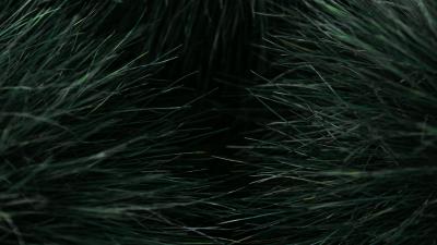 Grass macro plant 4k wallpaper