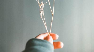 Herbarium branch fingers 4k wallpaper