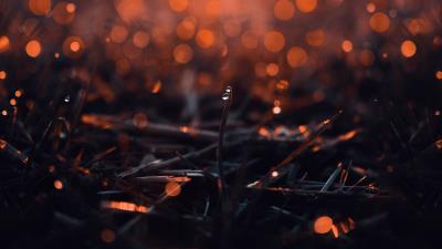 Leaf macro drop 4k wallpaper