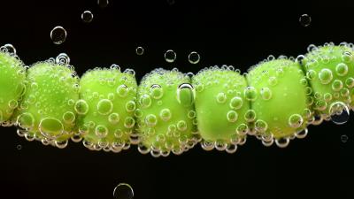Peas drops close up 4k wallpaper