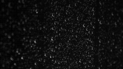 Photography drops macro wet 4k wallpaper