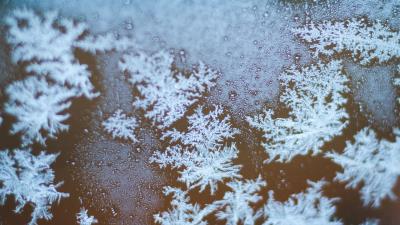 Snowflakes ice macro 4k wallpaper