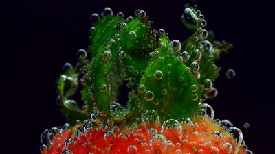 Strawberry drops closeup photography 4k wallpaper