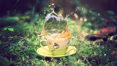 Tea spray earth grass saucer green cu 4k wallpaper