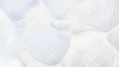 Texture macro white 4k wallpaper