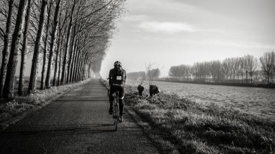 Bicyclist bw trees 4k wallpaper