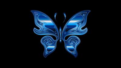 Butterfly shine bright 4k wallpaper