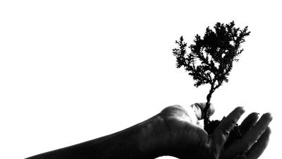 Hand wood earth bw 4k wallpaper