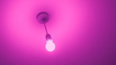 Light bulb electricity pink 4k wallpaper