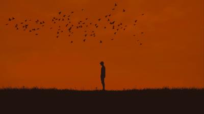 Man silhouette birds 4k wallpaper