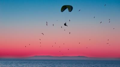 Paragliding parachute sea 4k wallpaper