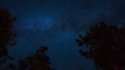 Starry sky night trees stars 4k wallpaper