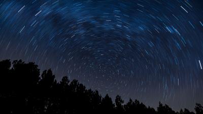 Twisting starry sky trees 4k wallpaper