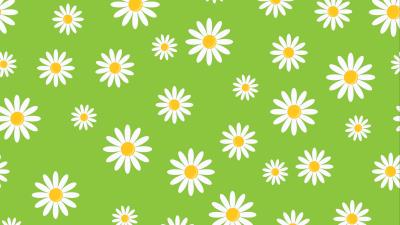 Chamomile patterns texture 4k wallpaper