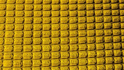 Cloth cover macro 4k wallpaper