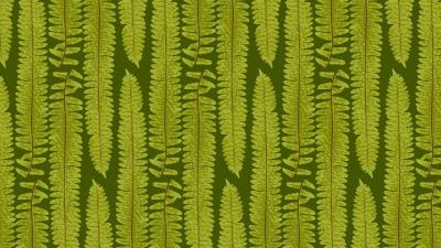 Fern leaves texture 4k wallpaper