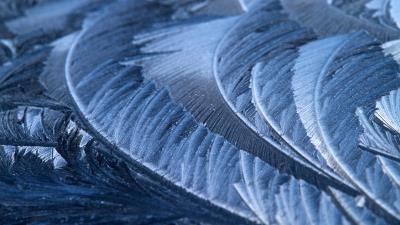 Freeze frost pattern 4k wallpaper