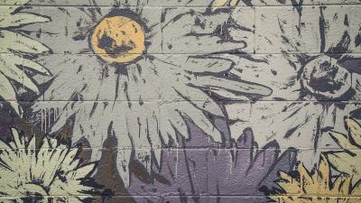 Graffiti wall paint 4k wallpaper