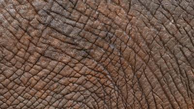 Leather texture folds image 4k wallpaper