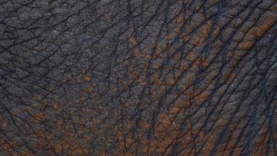 Leather texture folds 4k wallpaper