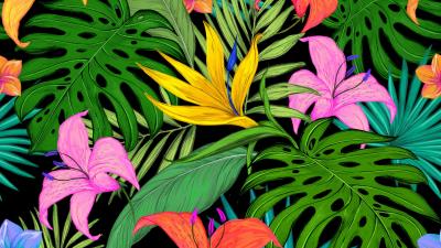Pattern tropical flowers 4k wallpaper