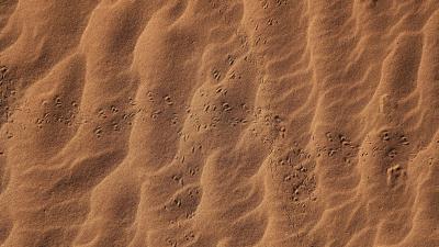 Sand footprints desert 4k wallpaper