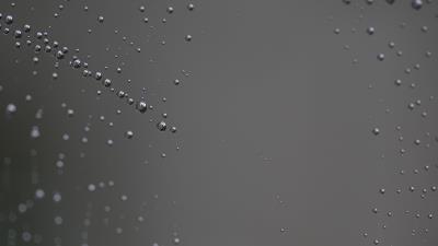 Spider web close up dro 4k wallpaper